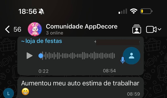 Depoimento de uma decoradora sobre o AppDecore no WhatsApp